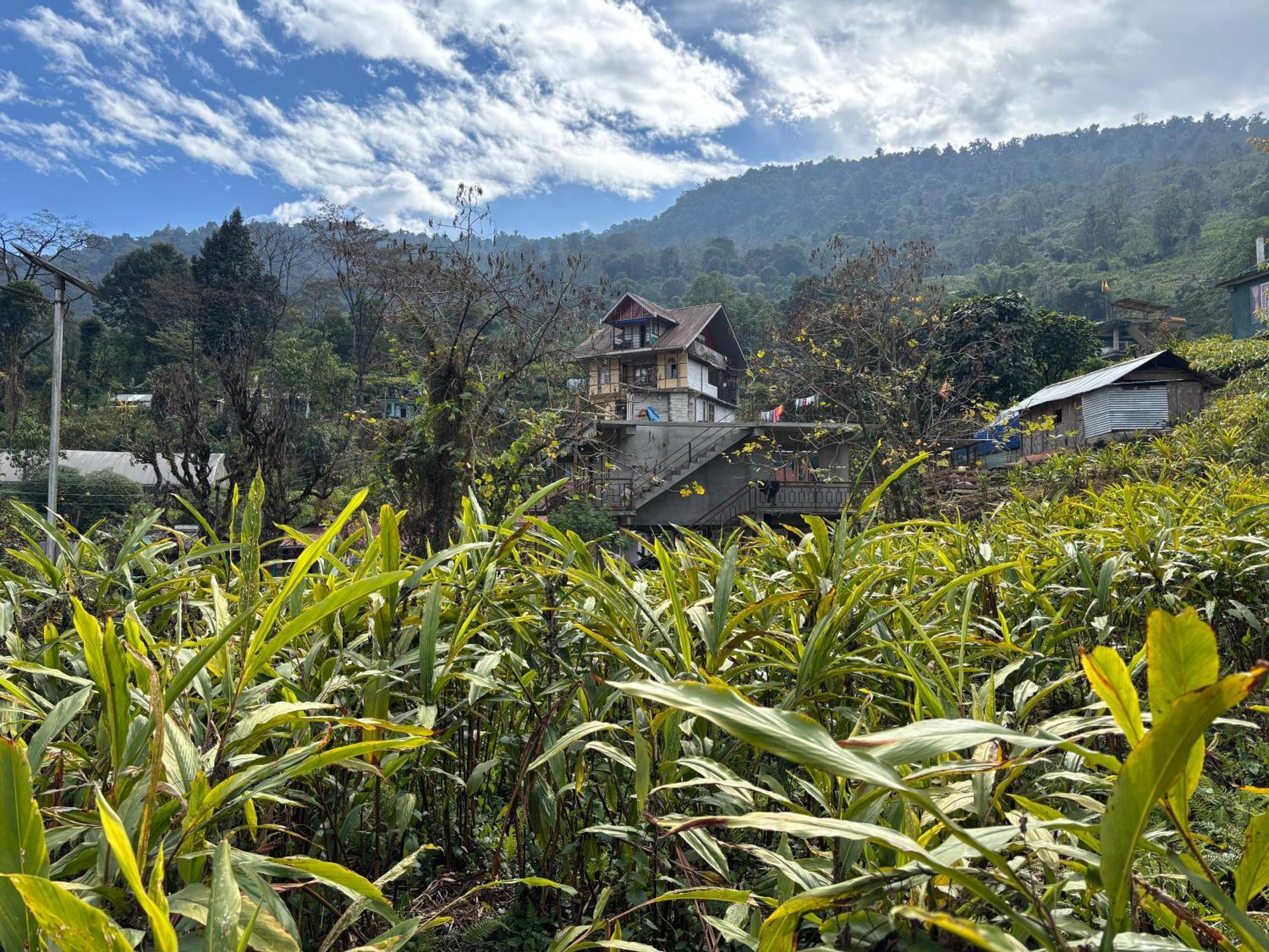 Apartmán Odyssey'S Darap Eco Retreat Pelling Exteriér fotografie