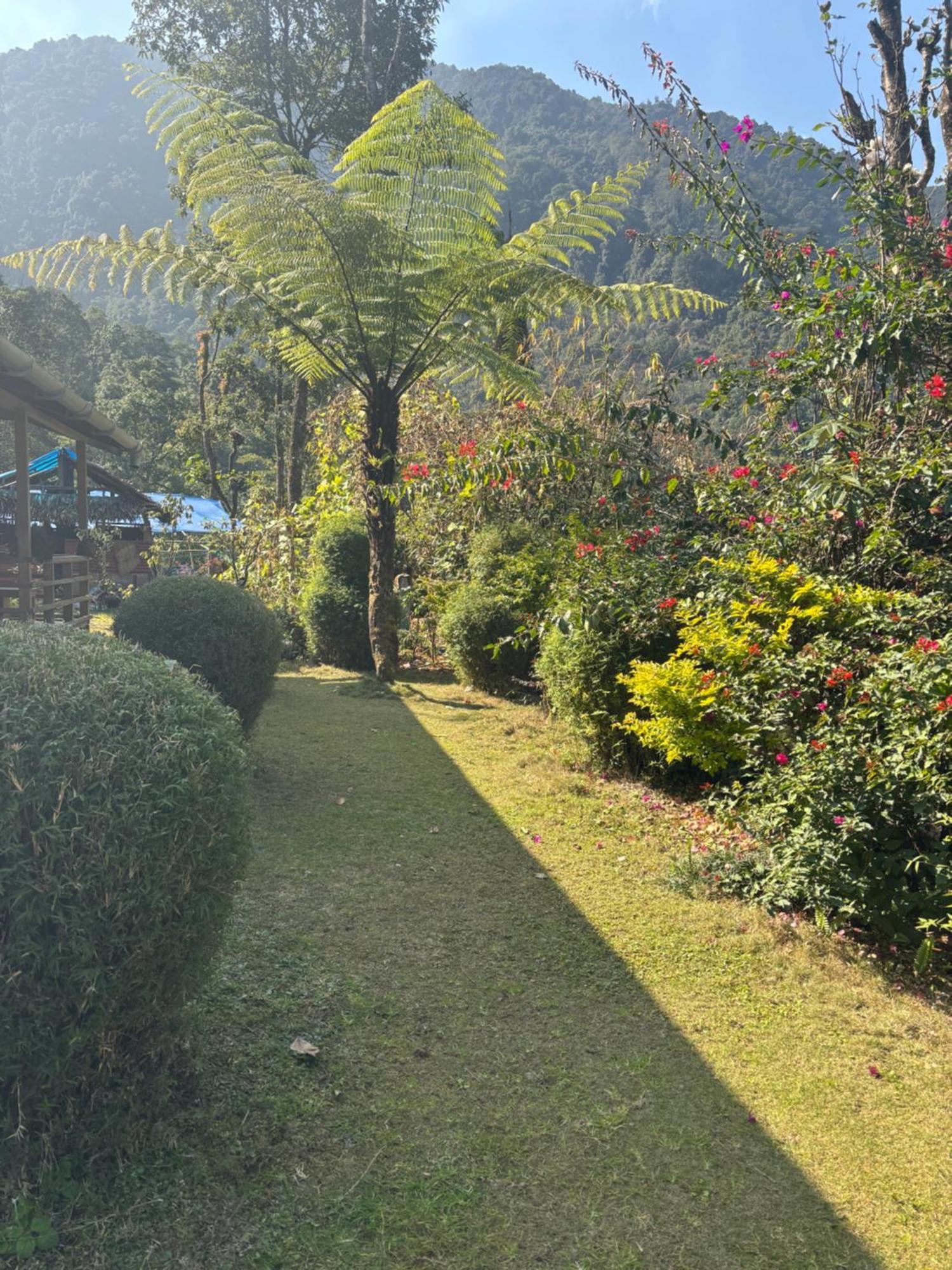 Apartmán Odyssey'S Darap Eco Retreat Pelling Exteriér fotografie